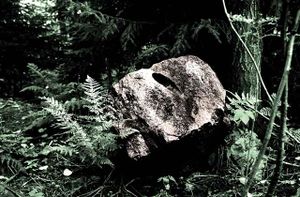 Stein Loerenskog LL067.jpg