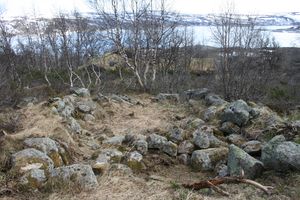 Steinbu geilelia ustaoset.JPG