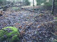 50. Steinsetting til uthus.jpeg