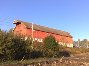 Steinslilaven 2009.jpg