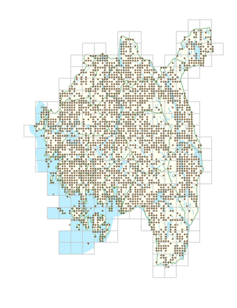 Stellaria graminea 1.png