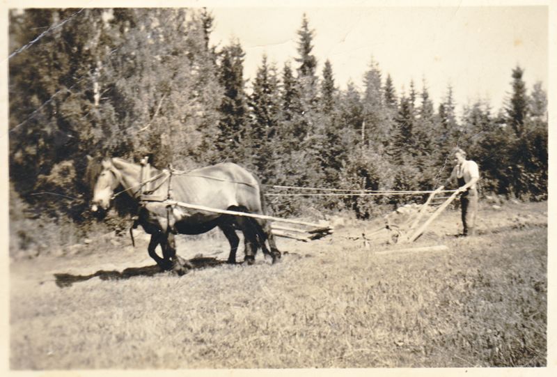 Fil:Stensli-Side-5-Bilde-3b.jpg