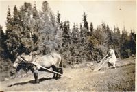 111. Stensli-Side-5-Bilde-4.jpg