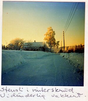 Stensli-vinter-1976.jpg