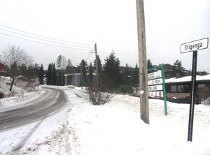 Stigenga Oslo 2014.jpg