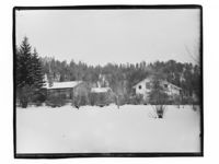 64. Stor Elvdal. Trøen Myklebu "Rogner" - NB MS G4 0302.jpg