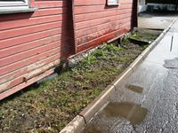 Store råteskader etter nedspruting fra veien.