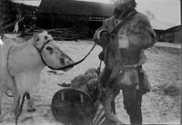 Storfjord, Skibotn, Troms. [Vinter?] Foto: Joachim Andreas Vibe Kjærulf Fleischer, 1916.