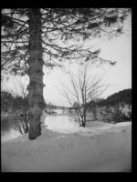 212. Storfjorden ved Skodje - no-nb digifoto 20150205 00134 NB MIT FNR 15785.jpg