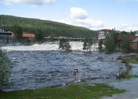 Storflommen i Numedalslågen i 2007. Foto: Stig Rune Pedersen