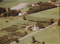 182. Stormoen under Skot, Skotselv - WF446.jpg