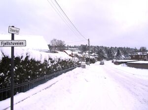 Stovnerfaret Oslo 2014.jpg