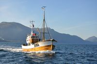 «Straumingen» kjem her inn Voldsfjorden den 15.07.2011.