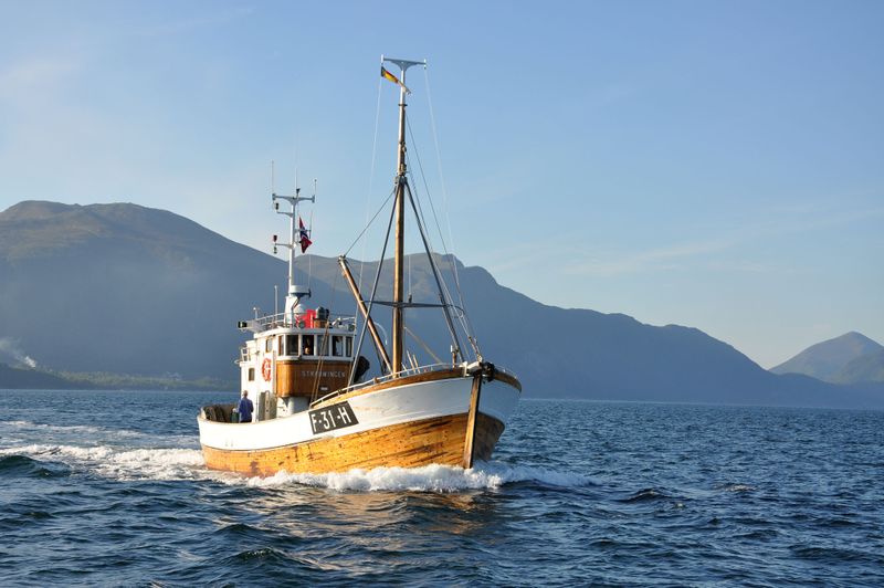 Fil:Straumingen kjem inn Voldsfjorden.JPG