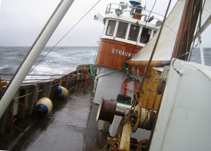 Fil:Straumingen over Nordsjøen.jpg