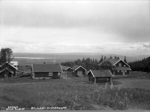 Stubbdal Krokskogen.jpg