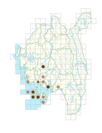 Stuckenia pectinata.png