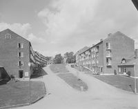 Sogn studentby i 1954. Foto: Jac Brun/Nasjonalbiblioteket
