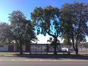 Studenterlunden (Larvik).jpg