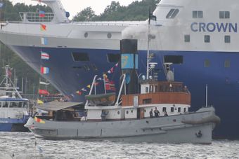 Styrbjørn i Bjørvika 2014 01.JPG