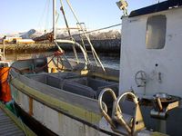 Her ser ein linerullen på rekka og spelet. På spelet ser ein avonglar og der er kveilar som kveilar i linestampen.