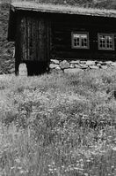 26. Sudi Oppistoga Grunge, Telemark - Riksantikvaren-T177 01 0130.jpg