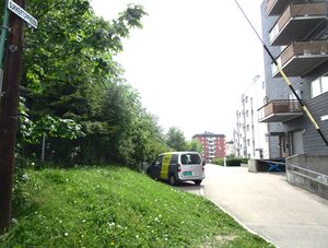 Sukkertoppveien Oslo 2015.jpg