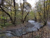 Turvei langs Alnaelva i Svartdalsparken.