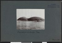 130. Svartskjær søndenfor Ula - no-nb digifoto 20160317 00367 bldsa NGU0048.jpg