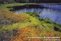 112. Svarttjern (Skedsmo).jpg