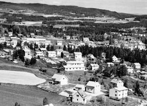 SveinCo 1958.jpg