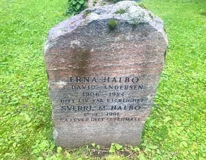 Sverre Matheson Halbo gravminne.jpg