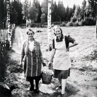 Mathilde Sveum hentet "skuler" til grismat hos en nabo. T. h. Oddlaug Hjemli som bodde i Øvre Hjemli til 1951. Ukjent fotograf, ca. 1950. Anno Domkirkeodden 0414-06896.
