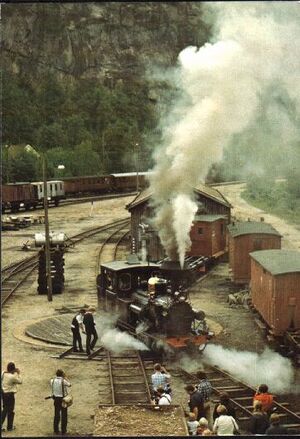 Svingskive Røyknes.jpg