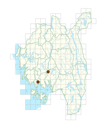 Symphyotrichum novae-angliae.png