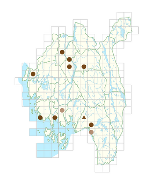 Symphyotrichum xversicolor.png