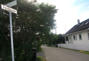 Syrenveien Oslo 2014.jpg