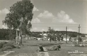 Tåsen hageby 042sB3B8qsVh.jpg