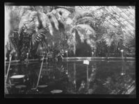 224. Tøienhaven - no-nb digifoto 20160401 00032 NB NS NM 09678.jpg