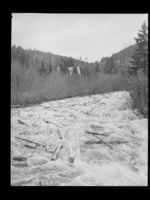 37. Tømmerfløting i Skjerva, Hovin - no-nb digifoto 20150716 00253 NB MIT FNR 15989.jpg