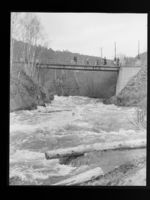 36. Tømmerfløting i Skjerva - no-nb digifoto 20150716 00260 NB MIT FNR 15990.jpg