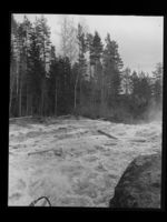 39. Tømmerfløting i Skjerva - no-nb digifoto 20150716 00262 NB MIT FNR 15999.jpg