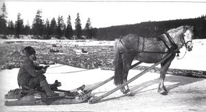 Tømmerkjøring vinter hest AB Wilse.jpg