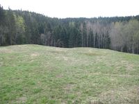 Utsikt fra Tømte mot sør. Innmarka holdes forsatt åpen.