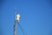 Tønna til hvalfangeren