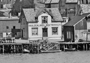 TDF-19184 B - Kopi.jpg