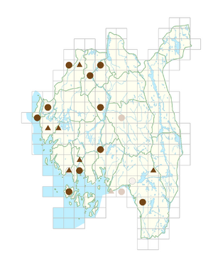 Tanacetum parthenium.png