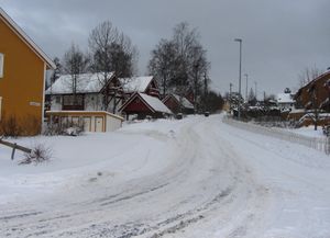 Tangerudbakken Oslo 2014.jpg