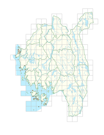 Taraxacum obliquum 1.png