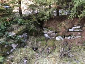 Tassehytta har inngang på marknivå